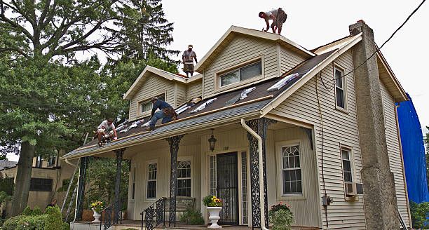 Best Gutter Installation and Roofing  in Munhall, PA